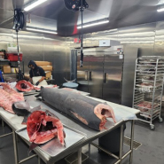 Seal-Beach-Fish-Co_s36