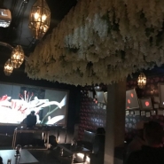 Songbird-Cafe-3